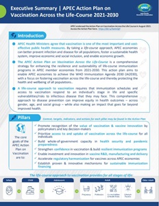 Action Plan Executive Summary Action Plan Executive Summary
